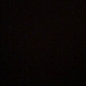 Meet your Posher, Lilly